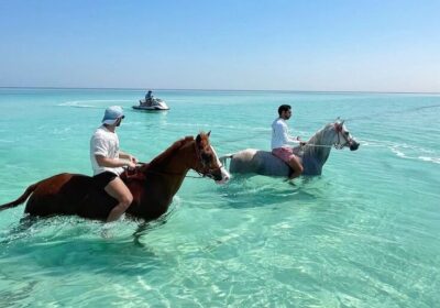 horse and camel riding hurghada