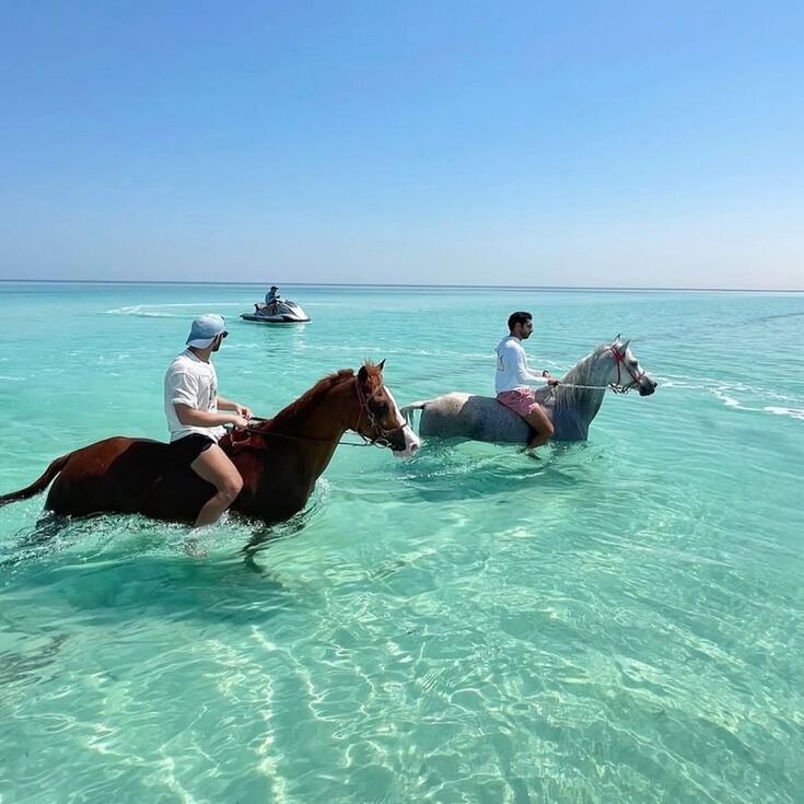 horse and camel riding hurghada